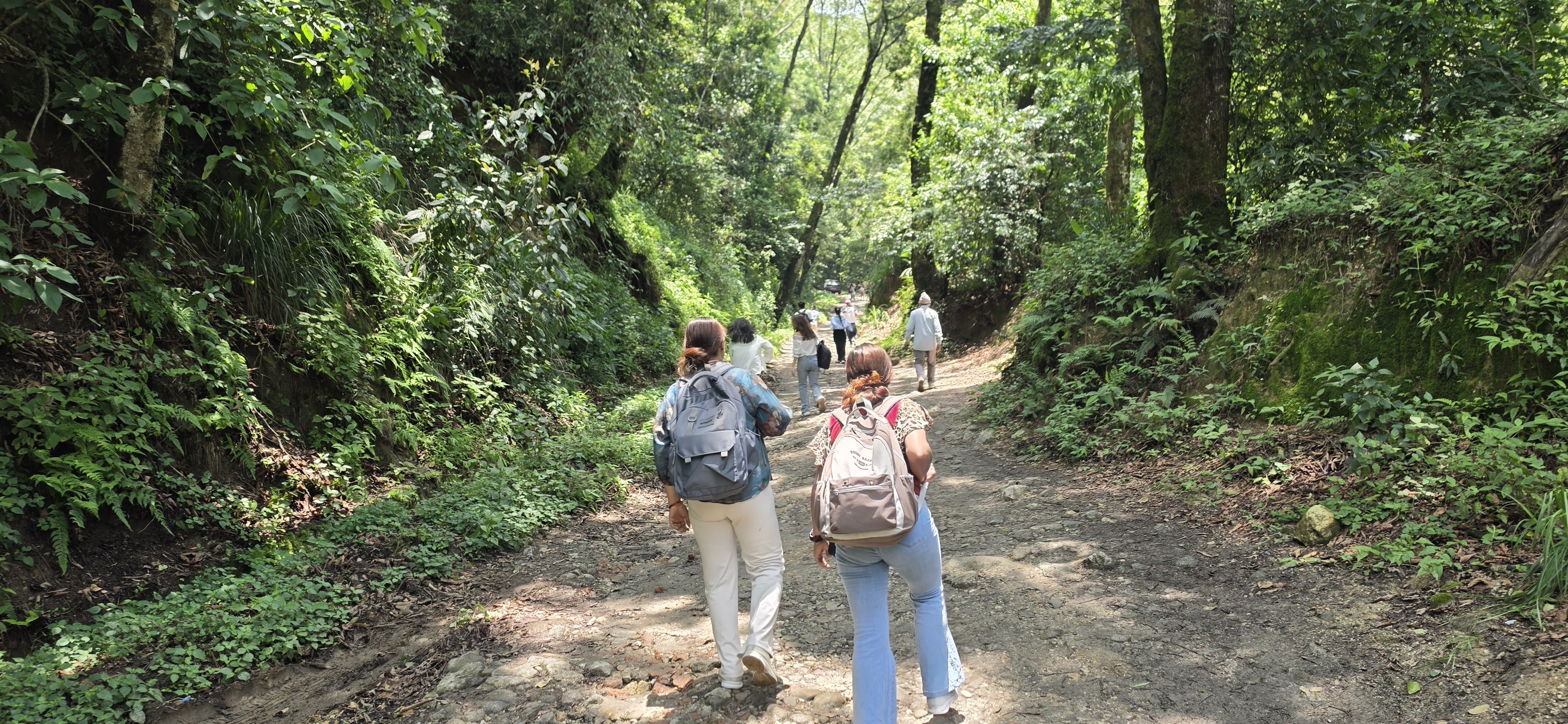 Shivapuri Hike – Complete Guide to the Best Day Hike Near Kathmandu, Nepal